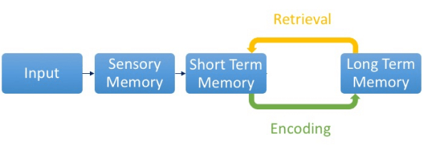 levels of processing research paper